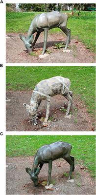 Biopassivation Method for the Preservation of Copper and Bronze Artefacts